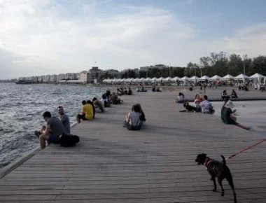 Νεκρά ποντίκια στον Θερμαϊκό - Σε όλο το μήκος της παραλιακής (φωτό)